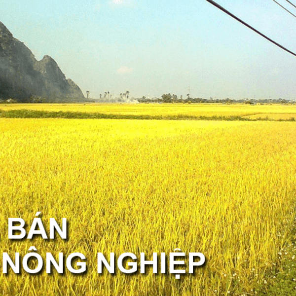 “Vỡ mộng” khi đầu tư đất nông nghiệp để đợi đền bù