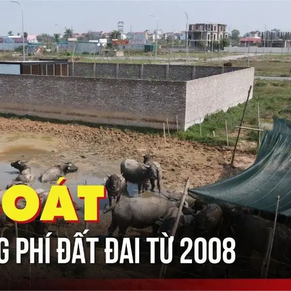 Hà Nội quyết tâm "xóa sổ" tình trạng lãng phí đất: Rà soát toàn bộ các dự án từ 2008 đến nay