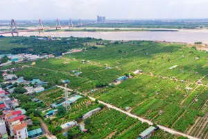 Hà Nội chính thức trao quyền cho UBND xã cấp phép xây dựng trên đất nông nghiệp