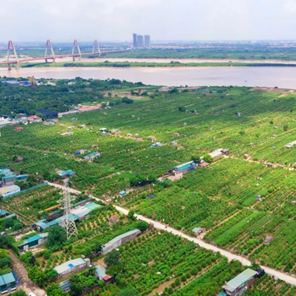 Hà Nội chính thức trao quyền cho UBND xã cấp phép xây dựng trên đất nông nghiệp