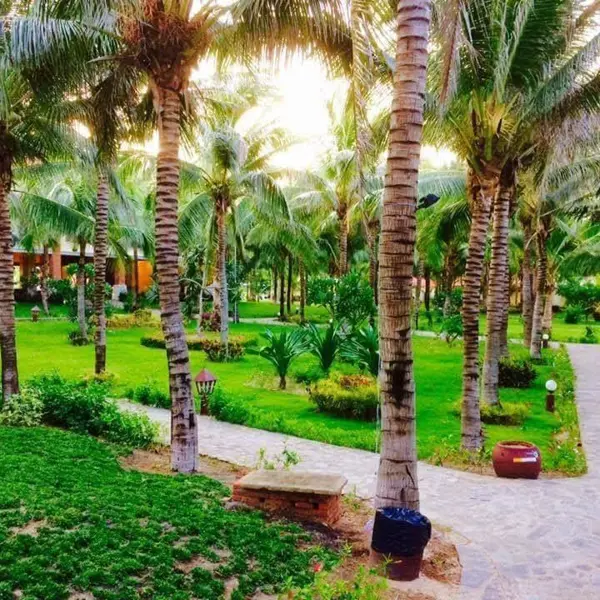 Sea Lion Beach Resort & Spa Phan Thiết