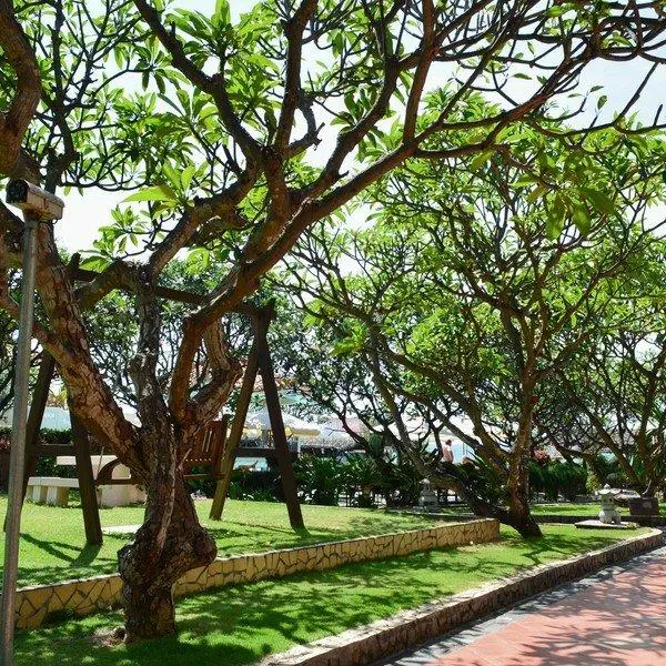 Swiss Village Resort & Spa