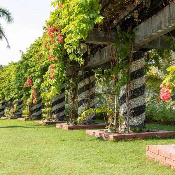 Khách Sạn Sài Gòn - Ninh Chữ 