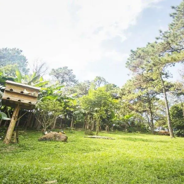 Khu nghỉ dưỡng Melia Núi Ba Vì (Melia Bavi Mountain Retreat)