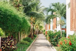 The Cliff Resort & Residences