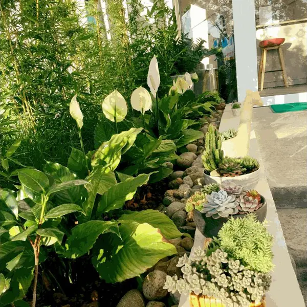 Khách sạn Song Anh