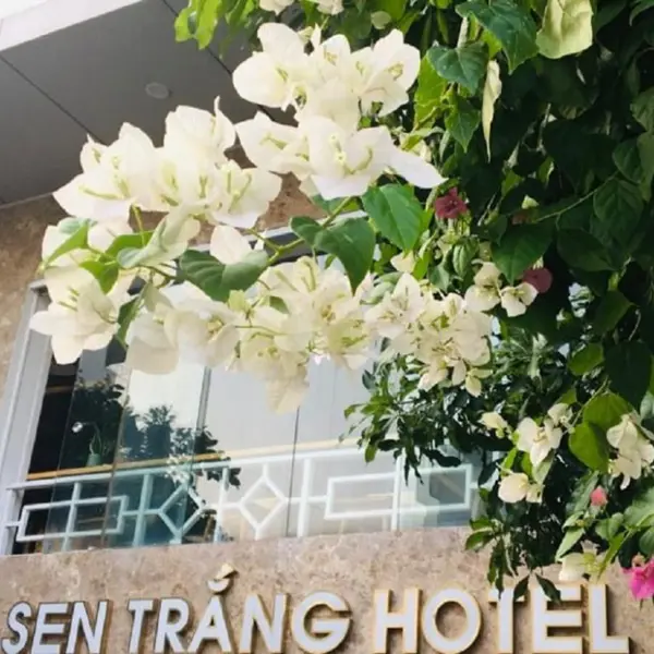 Khách sạn Sen Trắng Lào Cai