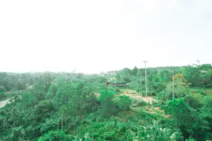 Panorama Hotel & Coffee