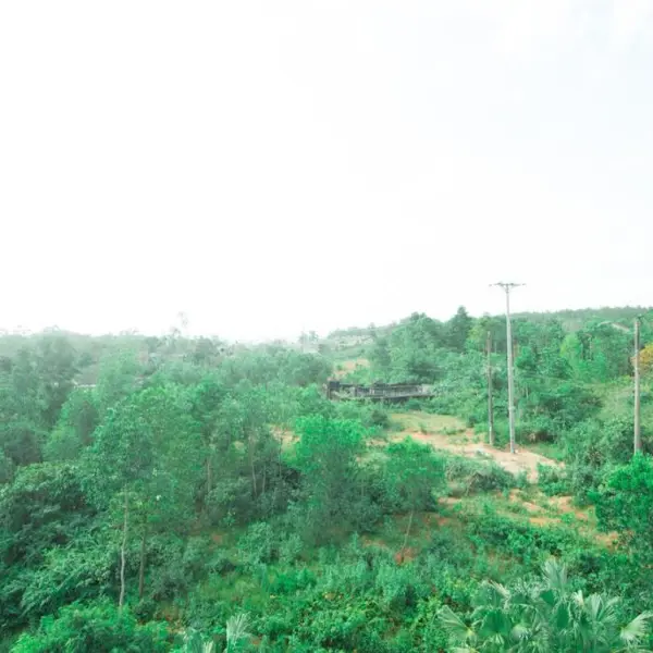 Panorama Hotel & Coffee