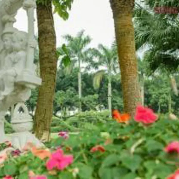 Sông Hồng Resort