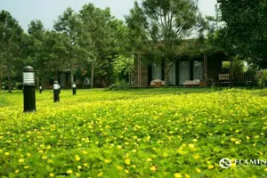 Flamingo Đại Lải Resort