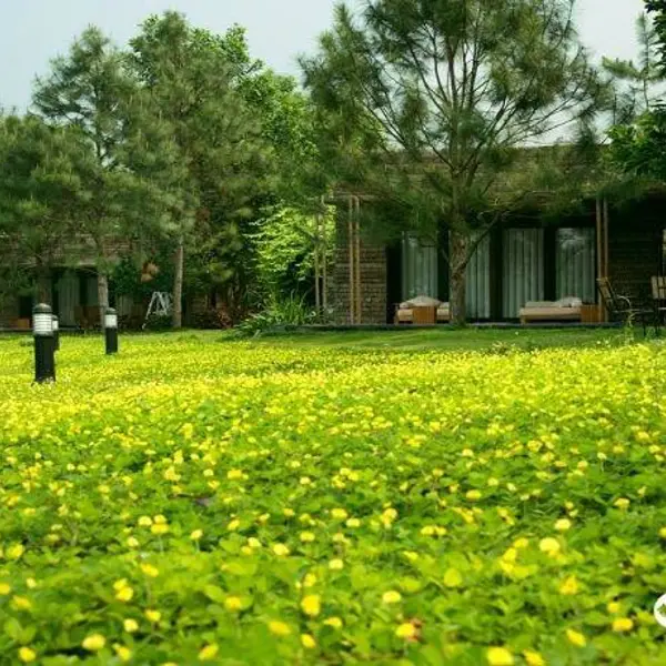 Flamingo Đại Lải Resort
