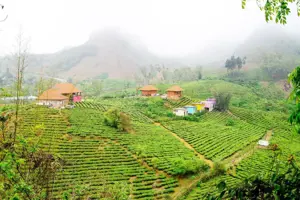 Mộc Châu Arena Village