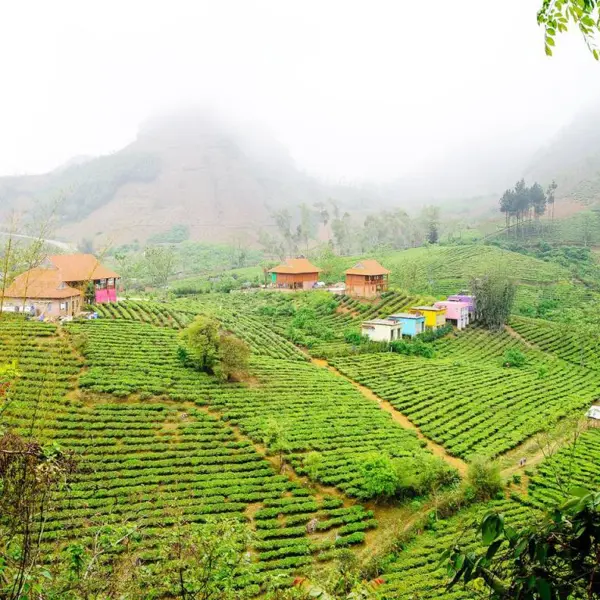 Mộc Châu Arena Village