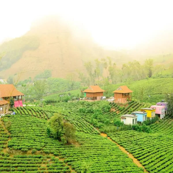 Mộc Châu Arena Village