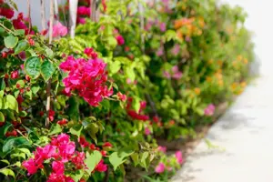 Khách sạn Sala Tuy Hòa Beach