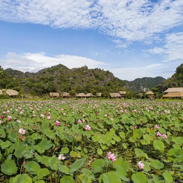 Mường Village Ninh Bình