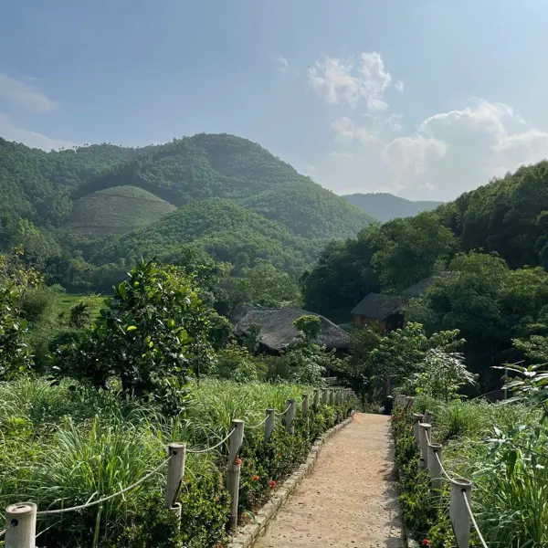 Khu Nghỉ Dưỡng Om Tara Retreat