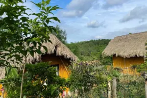 Khu Nghỉ Dưỡng Om Tara Retreat