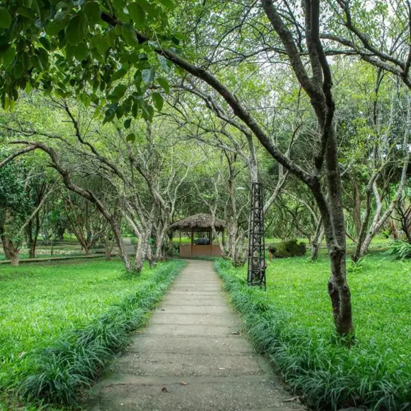 VResort Hòa Bình