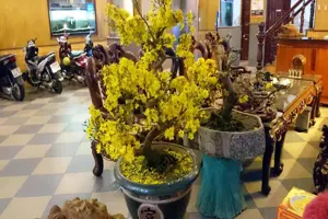 Khách sạn Cao Nguyên Gia Lai