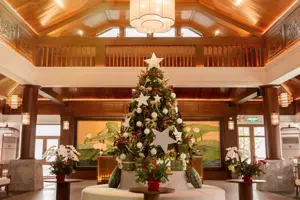 Senna Wellness Retreat