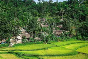 Pù Luông Jungle Lodge
