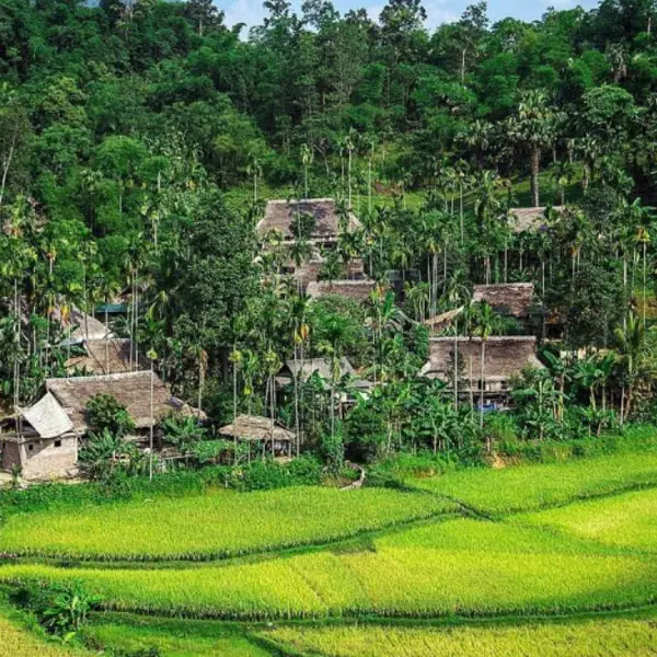 Pù Luông Jungle Lodge