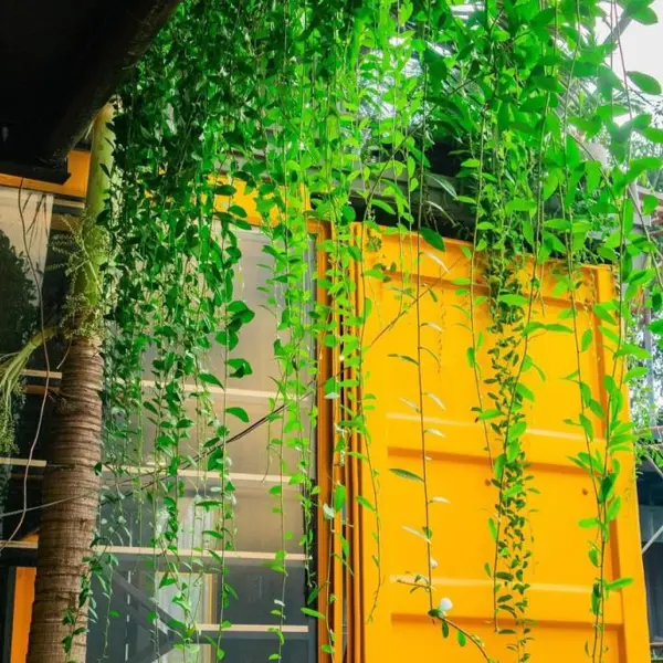 Khách Sạn Amazing Container