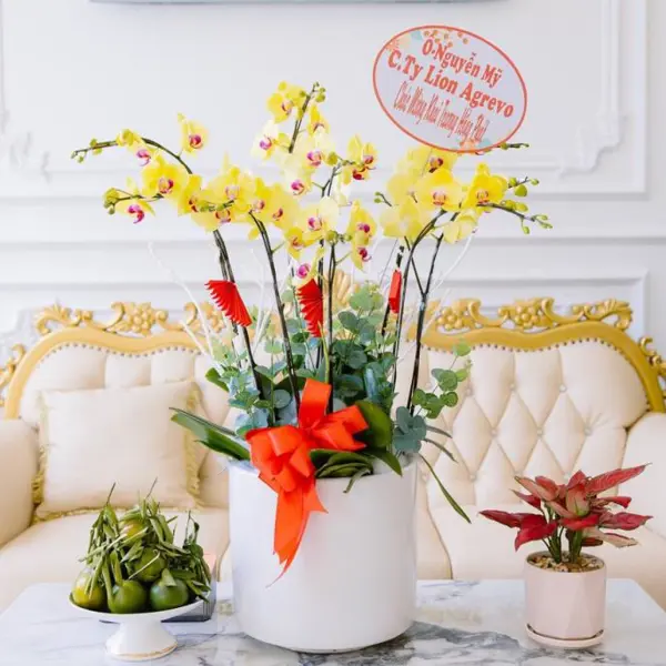 Khách Sạn Thuận Phát
