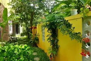 Khách sạn Pink Tulip Hội An