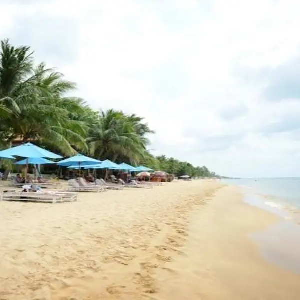 Orange Resort