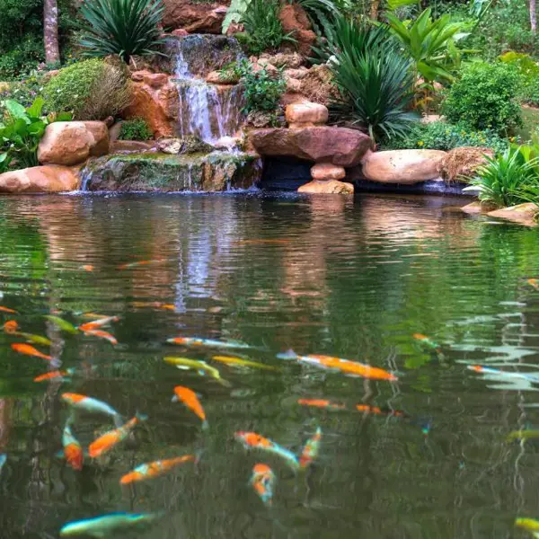 Avana Retreat