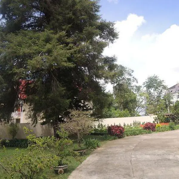Nice Dream Villa