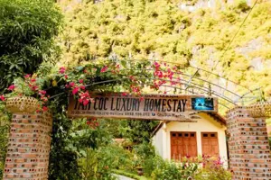 Tam Coc Luxury Homestay
