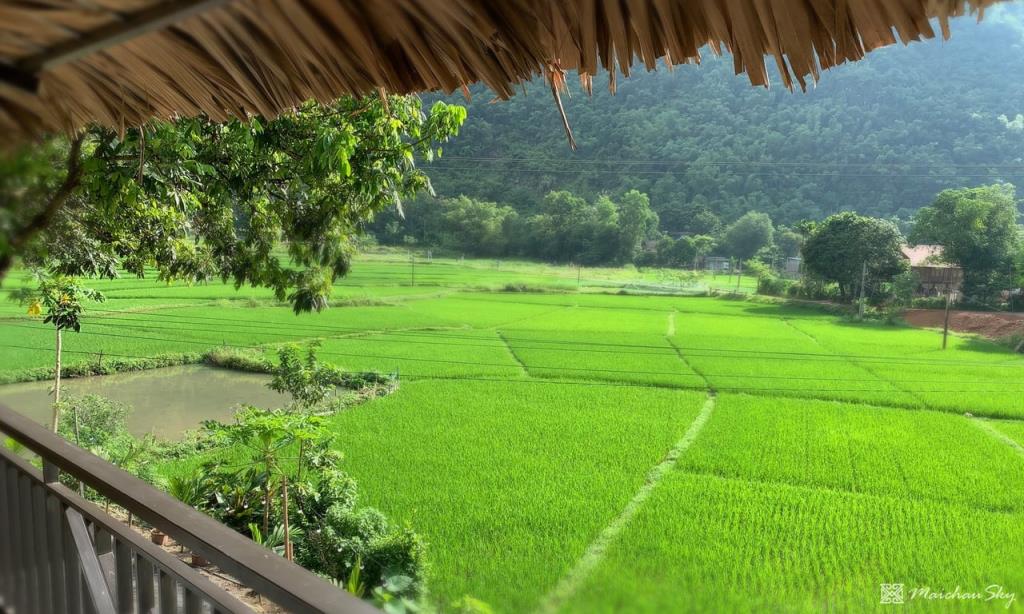 Phòng Family Suite - Mai Châu Sky Resort