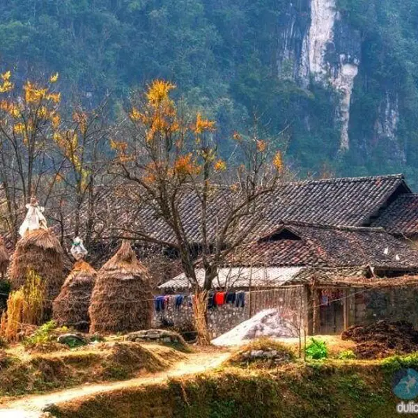 Tour Du Lịch Hà Nội - Quản Bạ - Yên Minh - Lũng Cú - Đồng Văn