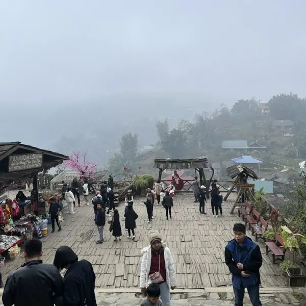 Tour Du Lịch Hà Nội - Bản Cát Cát - Swing Sapa - Moana - Fansipan