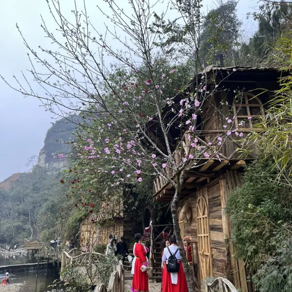 Tour Du Lịch Hà Nội - Bản Cát Cát - Swing Sapa - Moana - Fansipan