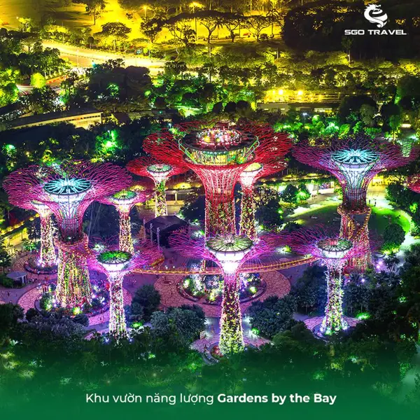 Hà Nội/Tp.hcm - Singapore Du Thuyền