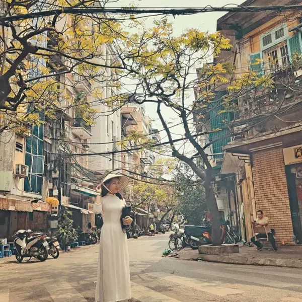 Tour Miền Bắc 6N5Đ: Hà Nội - Ninh Bình - Vịnh Hạ Long - Sapa