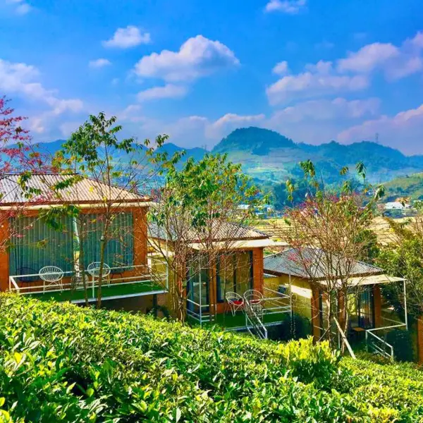 Tour Mộc Châu Mùa Hoa - Săn Mây Tà Xùa 2n1đ