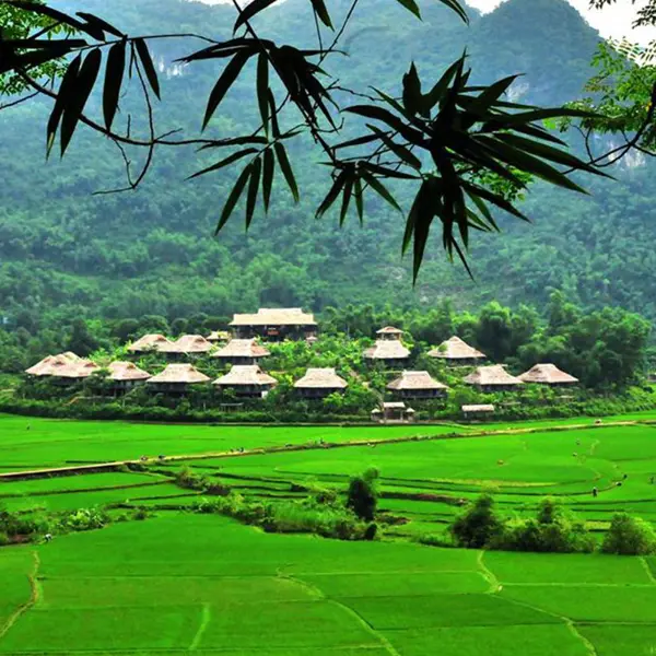 Tour Mộc Châu Mùa Hoa - Săn Mây Tà Xùa 2n1đ