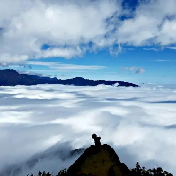 Tour Mộc Châu Mùa Hoa - Săn Mây Tà Xùa 2n1đ