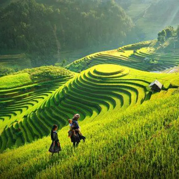 Tour Mộc Châu Mùa Hoa - Săn Mây Tà Xùa 2n1đ