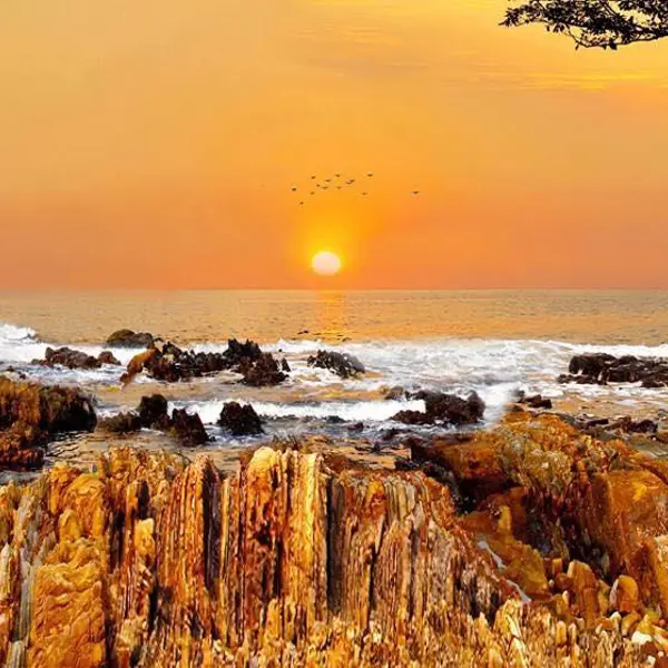Tour Cô Tô 3N2Đ: Khám Phá Đảo Ngọc Cô Tô