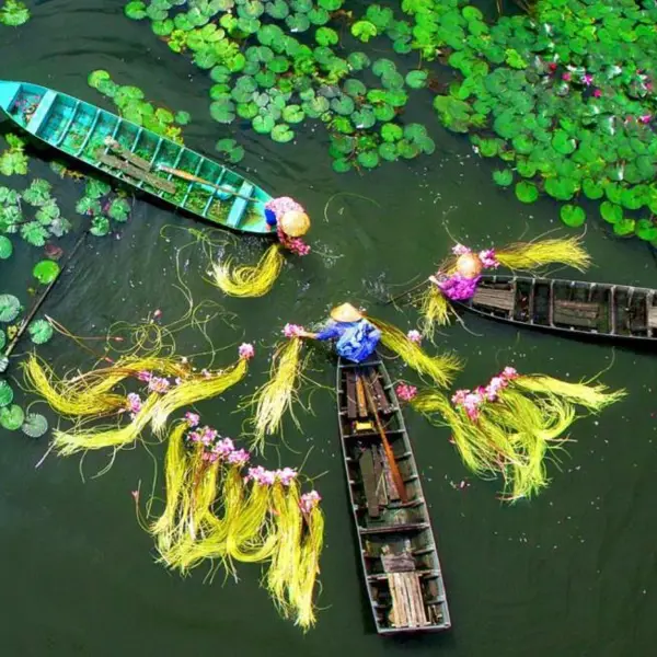 Tour Miền Tây 4N3Đ: Hà Nội - Cần Thơ - Bạc Liêu - Cà Mau Bay VNA