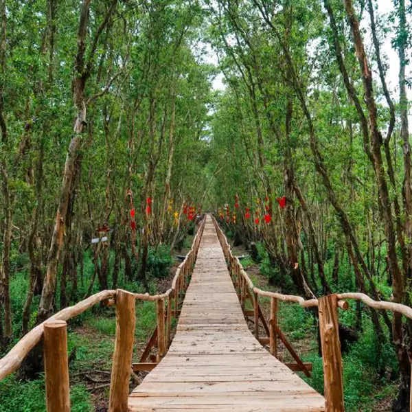 Tour Miền Tây 4N3Đ: Hà Nội - Cần Thơ - Bạc Liêu - Cà Mau Bay VNA