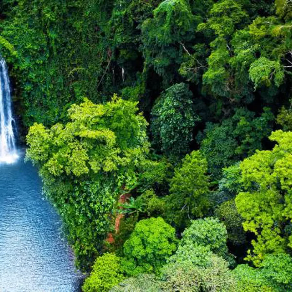 Tour Tây Nguyên 3N2Đ: Măng Đen - Ngã 3 Đông Dương - Khẩu Bờ Y - Gia Lai