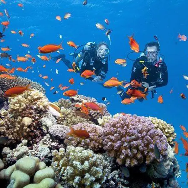 Tour Phú Quốc 3N2Đ: HCM - Câu Cá - Lặn Ngắm San Hô